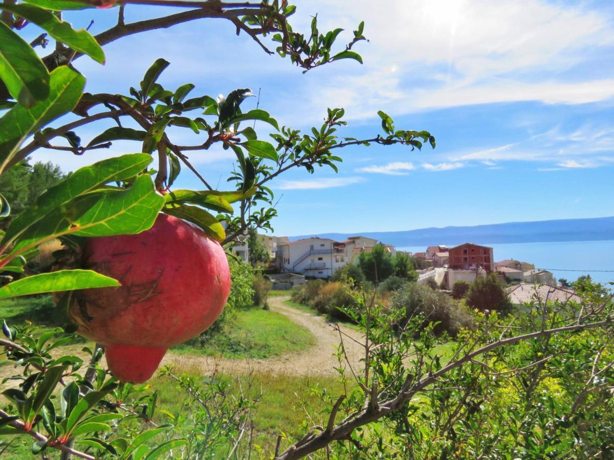 Holiday Home Jozo Omiš Dış mekan fotoğraf